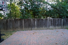 Enlarge photo 17