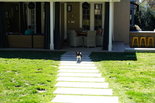Enlarge photo 21