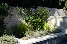 Enlarge photo 25