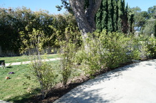 Enlarge photo 29
