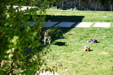 Enlarge photo 30