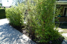 Enlarge photo 31
