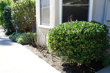 Enlarge photo 32