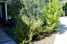 Enlarge photo 33