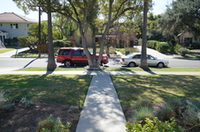 Enlarge photo 34