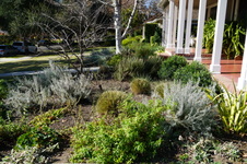 Enlarge photo 35