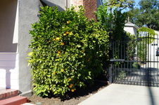 Enlarge photo 36