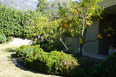 Enlarge photo 9