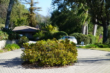 Enlarge photo 38