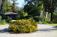 Enlarge photo 39