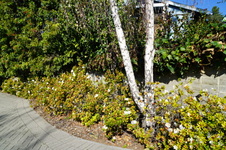 Enlarge photo 41