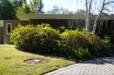 Enlarge photo 44
