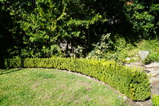 Enlarge photo 17