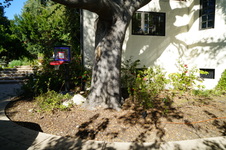 Enlarge photo 21