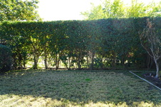 Enlarge photo 18