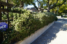 Enlarge photo 22