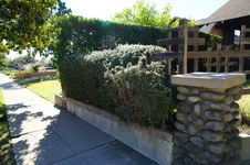 Enlarge photo 23
