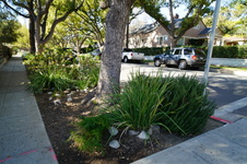 Enlarge photo 25