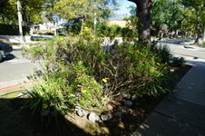 Enlarge photo 26