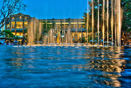 Enlarge photo 25