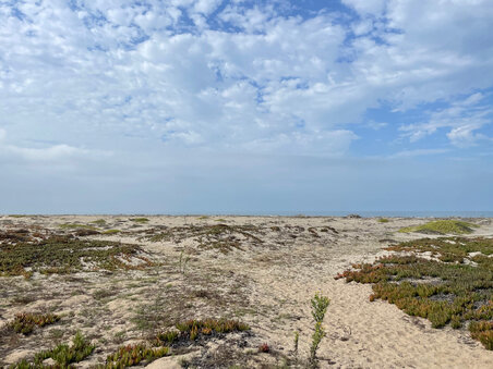 Enlarge photo 126