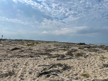 Enlarge photo 125