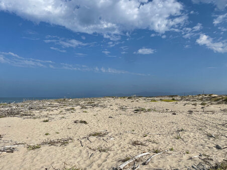 Enlarge photo 124