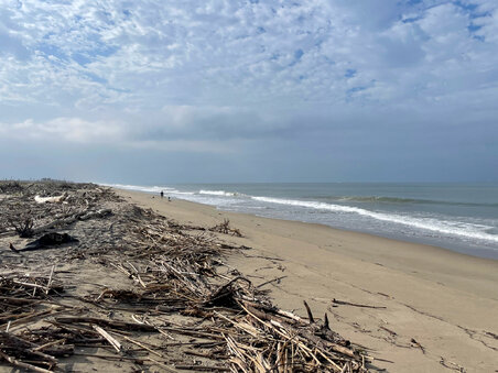 Enlarge photo 122