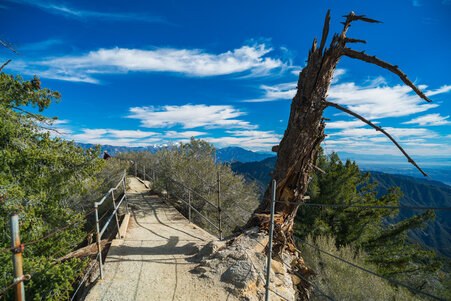 Enlarge photo 35