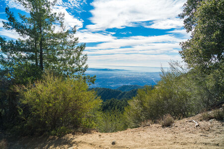 Enlarge photo 33