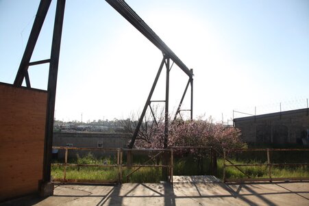 Enlarge photo 33