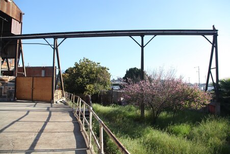 Enlarge photo 22
