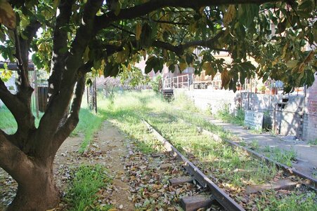 Enlarge photo 11