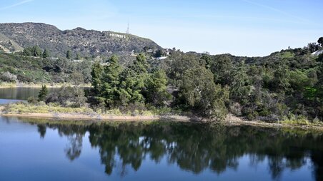 Enlarge photo 17