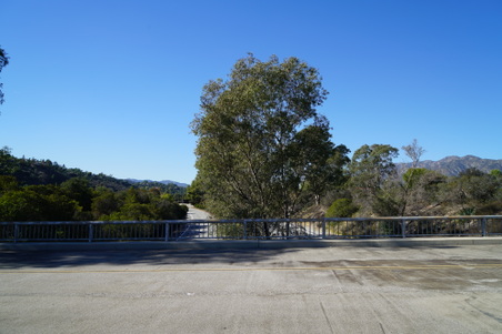 Enlarge photo 2