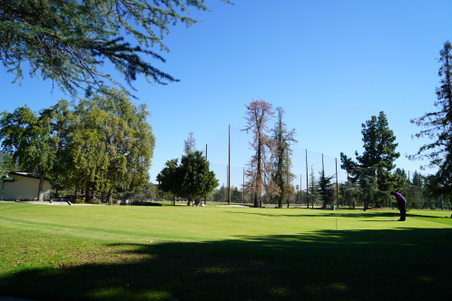 Enlarge photo 12