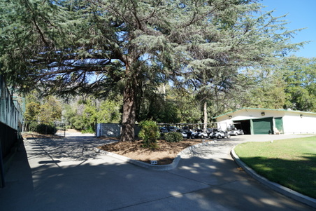 Enlarge photo 13
