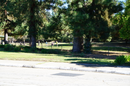 Enlarge photo 9