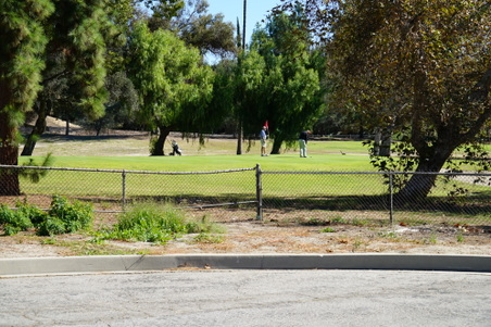 Enlarge photo 12