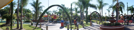 Enlarge photo 74