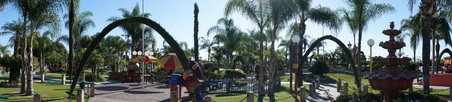 Enlarge photo 75