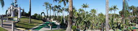 Enlarge photo 82