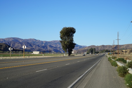 Enlarge photo 2