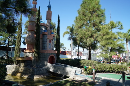 Enlarge photo 53