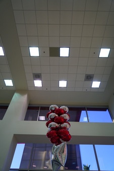 Enlarge photo 21