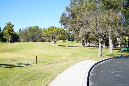 Enlarge photo 29