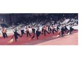 Enlarge photo 197