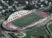 Enlarge photo 215