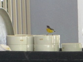 Enlarge photo 42