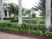 Enlarge photo 56